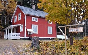 Amnerud 5